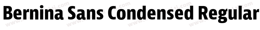 Bernina Sans Condensed Regular字体转换